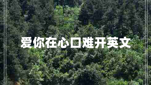 愛你在心口難開英文