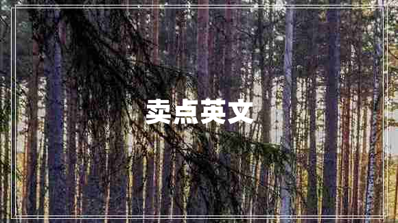 賣(mài)點(diǎn)英文