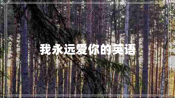 我永遠(yuǎn)愛你的英語