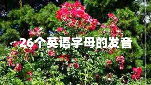 26個(gè)英語字母的發(fā)音 26個(gè)英語字母的發(fā)音