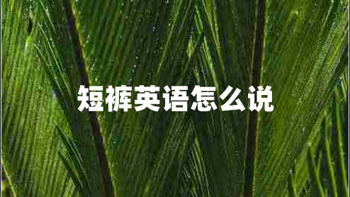 短褲英語怎么說 短褲英語怎么說