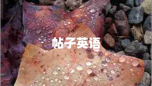 帖子英語 帖子英語