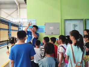 小學生暑期社區(qū)服務活動策劃方案