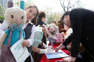 淡季酒店活動策劃方案