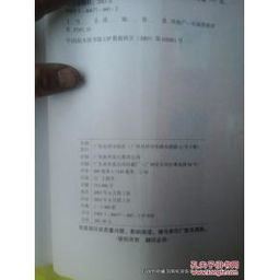 當(dāng)代中國房地產(chǎn)策劃方案解讀