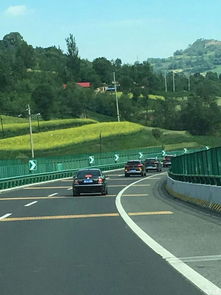 車友會組織開展公益活動策劃方案