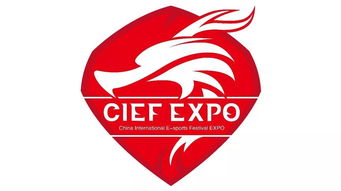 電子競(jìng)技大賽策劃方案