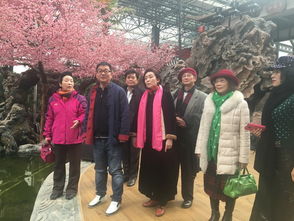 知青聚會(huì)策劃方案