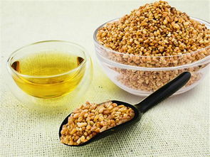 苦蕎茶營銷策劃方案