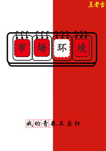 王老吉cis策劃方案