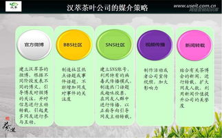 互聯(lián)網(wǎng)項目策劃方案