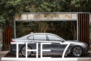 房地產(chǎn)豪車品鑒策劃方案