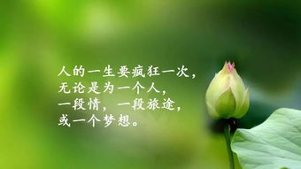 短語(yǔ),句子,能量,心情