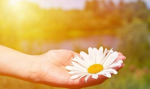 充滿陽光正能量的勵(lì)志霸氣,早安充滿陽光正能量的勵(lì)志句子,新的一天充滿陽光正能量的句子