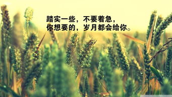 早上勵志語句正能量的句子