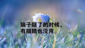 周一祝福語(yǔ)正能量,晚上祝福語(yǔ)正能量短句,護(hù)士祝福語(yǔ)正能量短句