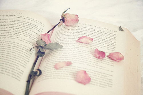 士氣,鼓舞,句子,能量