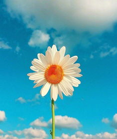 動漫充滿正能量的句子