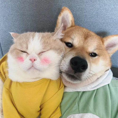 美好時(shí)光正能量的句子經(jīng)典語(yǔ)句