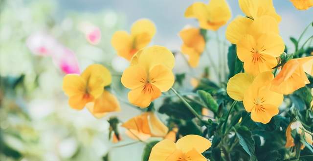 羊皮卷之正能量句子