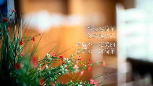 句子,激勵,能量