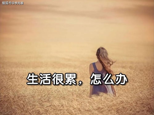 累的時候正能量的句子,生活累的正能量句子,雖然累但很充實正能量的句子