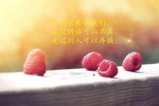 適合發(fā)朋友圈的人生感悟句子正能量