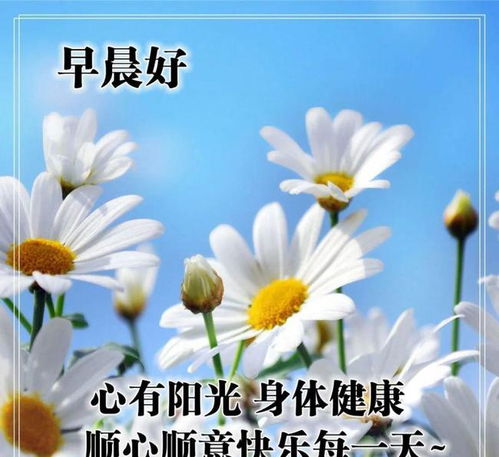 早上好發(fā)朋友圈的正能量句子和,早上好發(fā)朋友圈正能量句子周末,早上好朋友圈正能量句子簡短