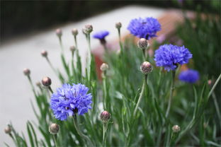 朋友離別句子正能量