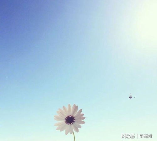 簡(jiǎn)短,句子,能量,陽光