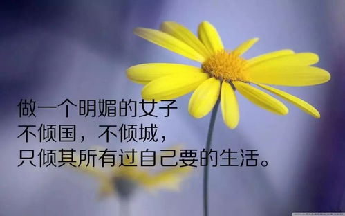 朋友圈正能量的句子和2021