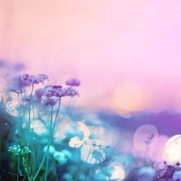 激勵(lì)人激勵(lì)人生的正能量句子