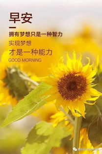 好運正能量句子