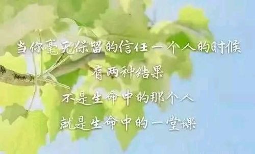英文,句子,唯美,能量
