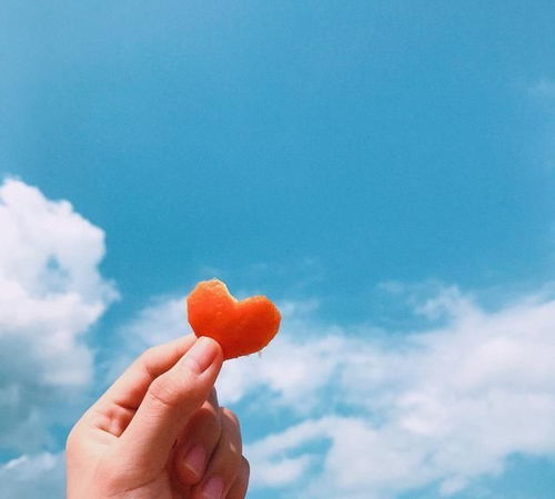 關于堅持的正能量句子,懂得感恩的正能量句子,新的開始新的起點正能量句子