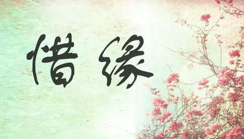 緣分珍惜正能量的句子每天布靈布靈的,珍惜每一天正能量句子,珍惜相愛正能量句子