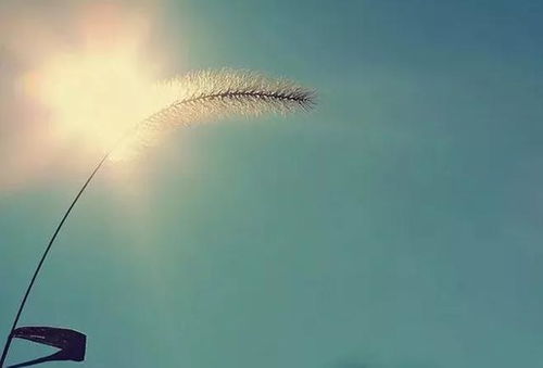 珍惜愛人的正能量句子