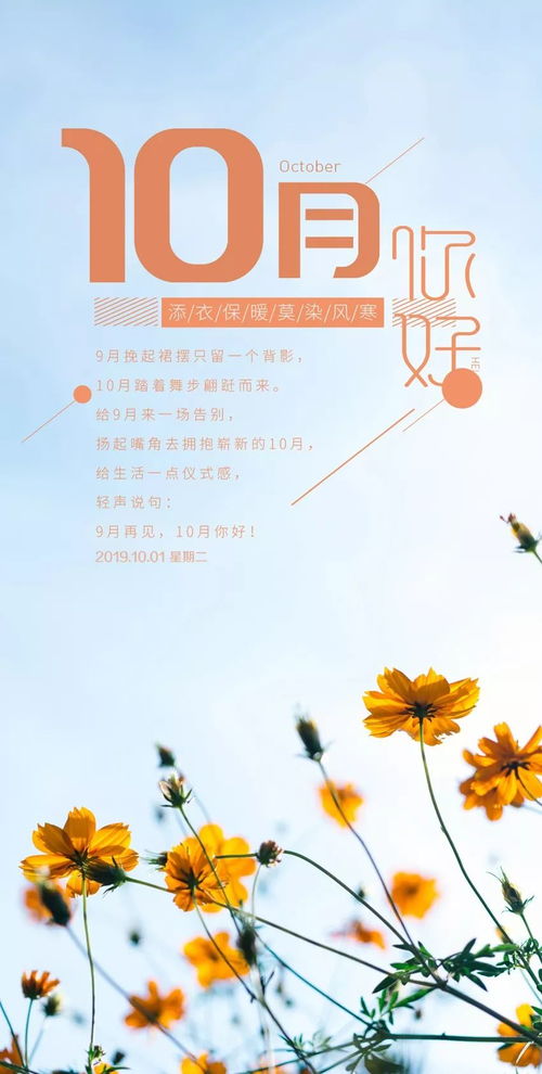 8字正能量句子,10字正能量句子,20字正能量句子