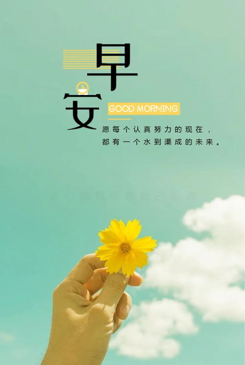 有正能量的早安句子說說心情短語(yǔ)