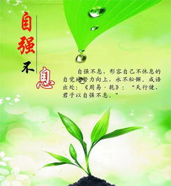 關(guān)于堅持的正能量句子,懂得感恩的正能量句子,新的開始新的起點正能量句子