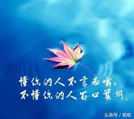 護(hù)士正能量的句子簡(jiǎn)短唯美,樂(lè)觀正能量的句子簡(jiǎn)短唯美,有哲理正能量的句子唯美