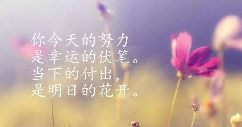 堅(jiān)持勵志正能量的句子,早上好勵志正能量句子,職場勵志正能量句子