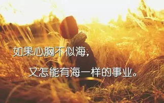 句子,能量,人生感悟,分享