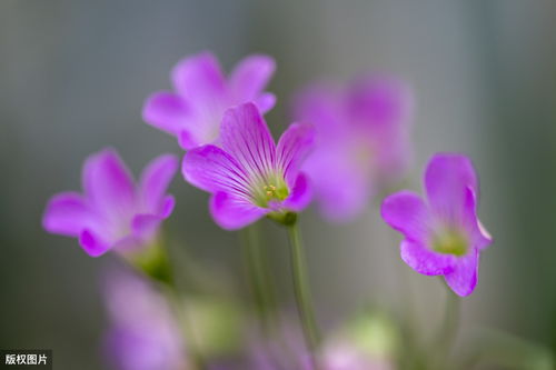 打氣,鼓舞,句子,滿滿