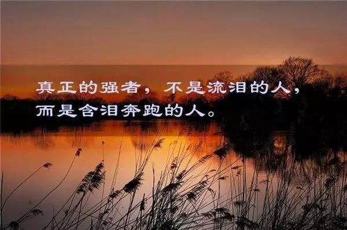 句子,能量,從哪里,微商正