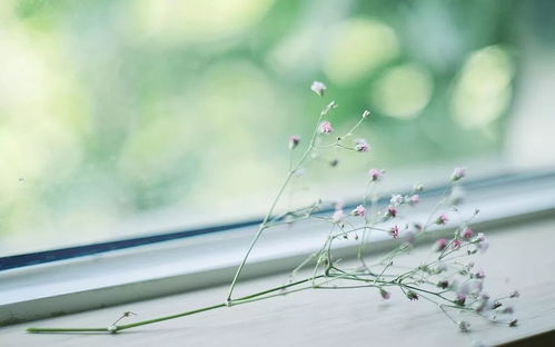 描寫正能量的優(yōu)美句子,描寫老同志正能量的句子,描寫月亮正能量心情的句子