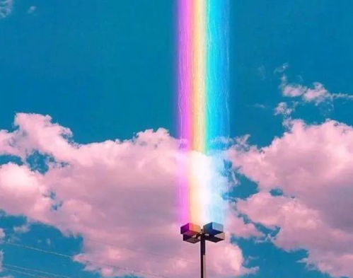 逆境,句子,重生,能量