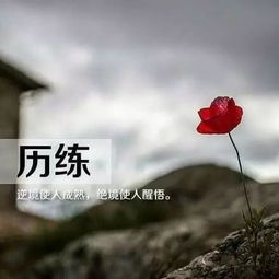 早安正能量經(jīng)典語句微商早安勵(lì)志句子