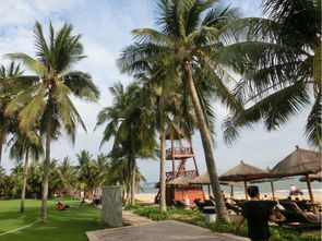 句子,三亞旅游,能量