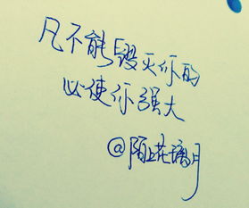 手寫,句子,能量